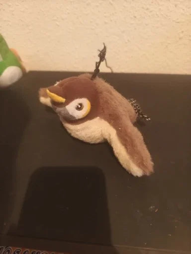 Jouet Interactif pour Oiseaux Destiné aux Chats — photo d'un client 6